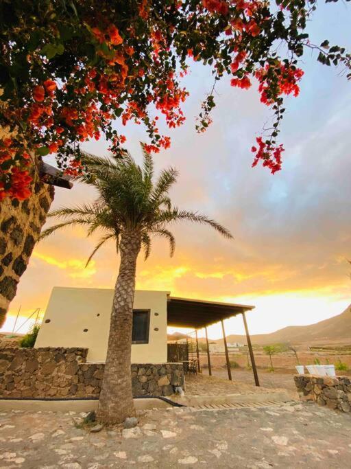 Erbania Heritage, Naturally Apartment