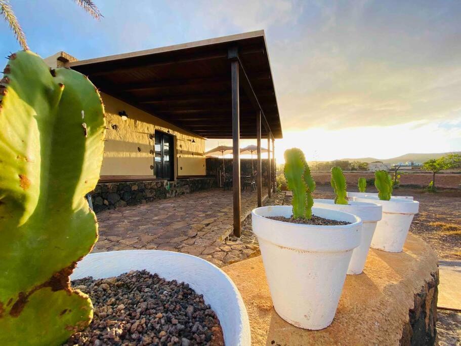Erbania Heritage, Naturally Apartment