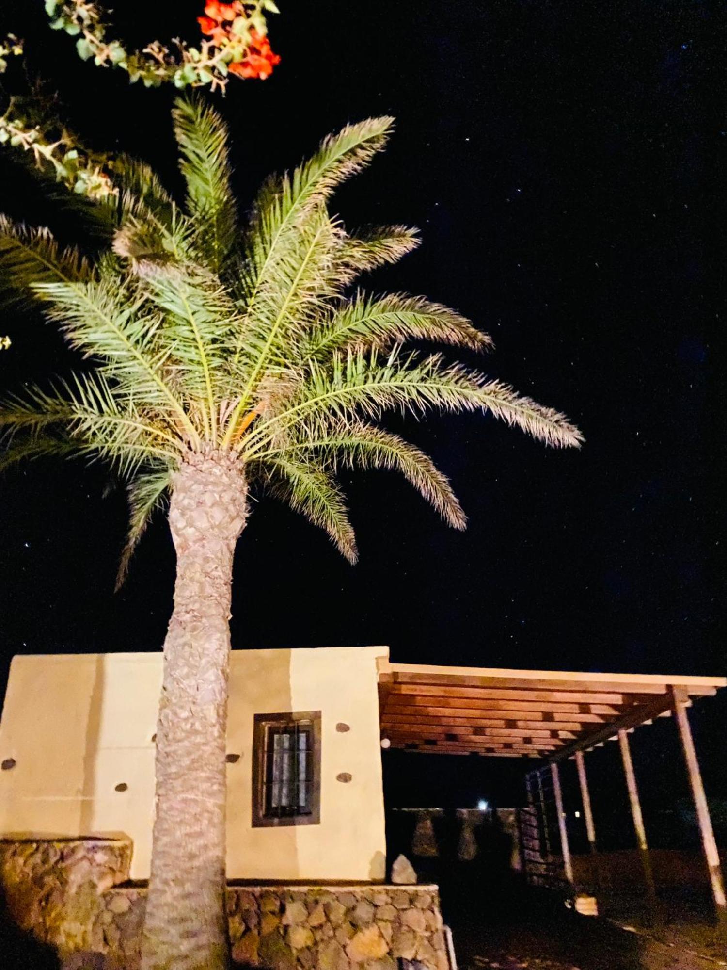 Apartment Erbania Heritage, Naturally